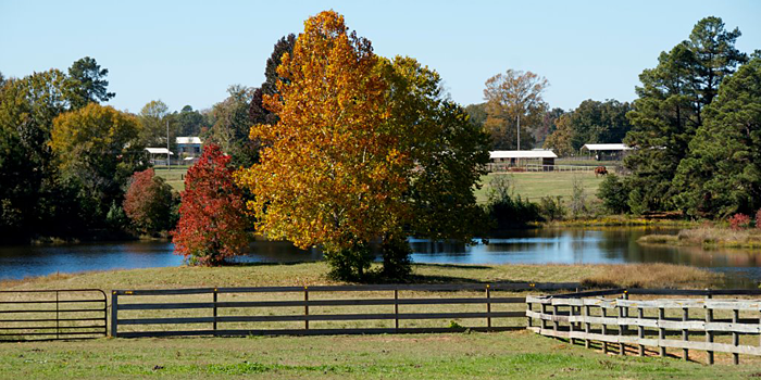 breeding-farm-header