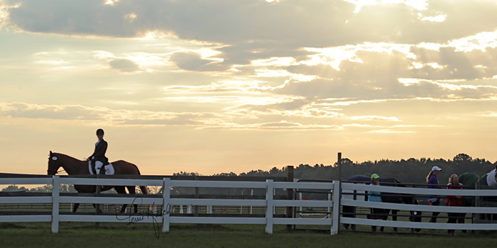 breedingfarm-header